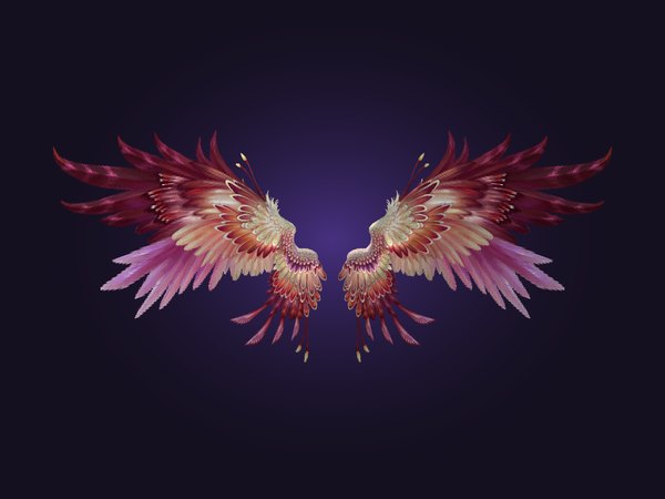Wings de Sombra